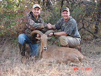 Exotic Game Aoudad Hunt