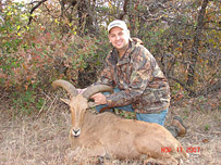 Exotic Aoudad Hunt in Texas