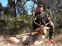 Exotic Game Hunting Fallow Buck