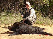 Texas Hog Hunting