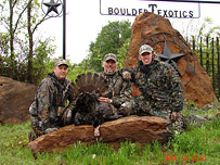 Hunting Wild Spring Turkeys